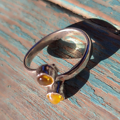 Anillo doble de Ámbar mexicano