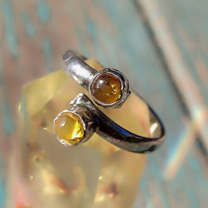 Anillo doble de Ámbar mexicano